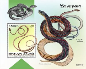 GUINEA - 2023 - Snakes - Perf Souv Sheet - Mint Never Hinged