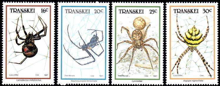 Transkei - 1987 Spiders Set MNH** SG 205-208