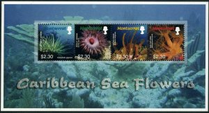 Montserrat 1150 sheet,MNH. Marine life 2006.Caribbean Sea Flowers,Anemone,Corals