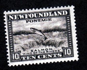 Newfoundland # 193 Mint!