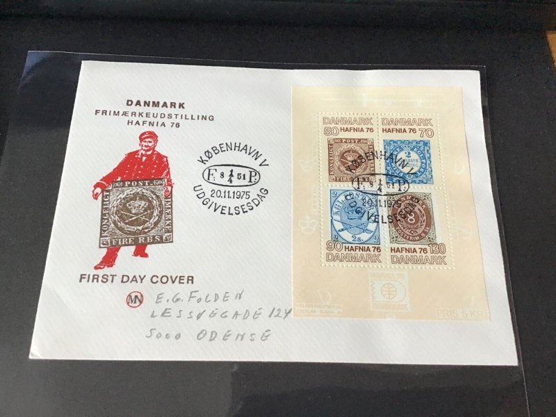 Denmark Hafnia 1976 Fdc stamps cover  Ref R32107