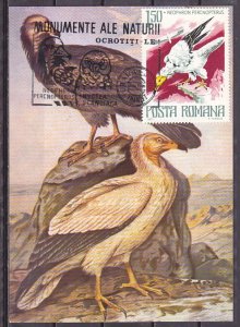 Romania, 1988 issue. 1/JUN/88 issue. Bird value on Bird Postal Card w/cancel.