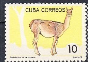 Cuba    Sc# 897 NATIONAL ZOO ANIMALS  Guanaco  10c    1964  MNH