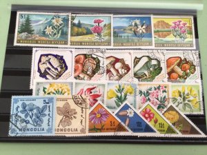 Mongolia Plants Flowers & Fungi cancelled stamps Ref A9107