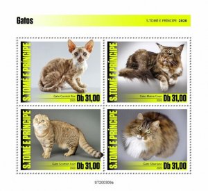 Sao Tome & Principe Cats Stamps 2020 MNH Cornish Rex Maine Coon Siberian 4v M/S