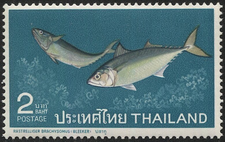 SIAM THAILAND 1967  Sc 465 2b MNH F-VF Fish - Pigmy Mackerel