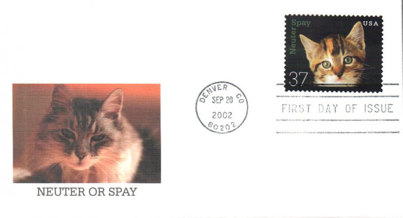 #3670 Neuter - Spay - Kitten Fleetwood FDC