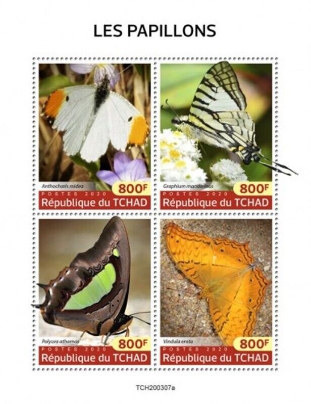 Chad - 2020 Butterflies Orangetip Swordtail - 4 Stamp Sheet - TCH200307a