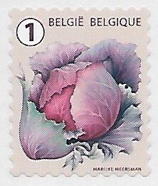 Belgium # 2991 - Red Cabbage - MNH.....{H}
