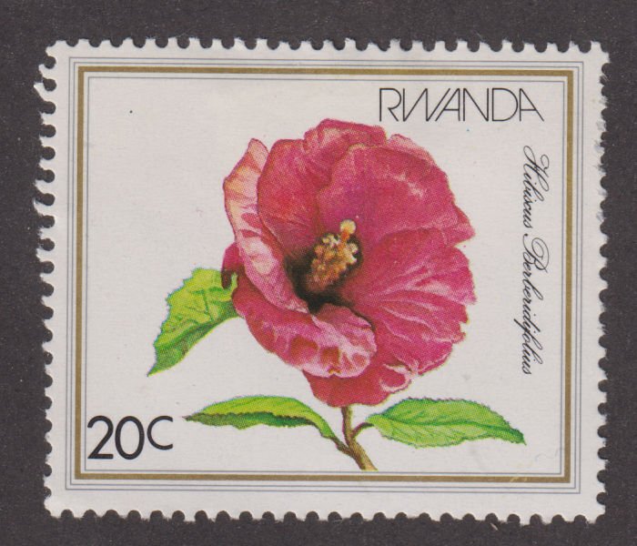 Rwanda 1083 Hibiscus Berberidifolius 1982
