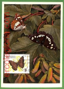 32408 - Mongolia - MAXIMUM CARD - Butterflies-