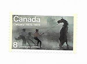Canada 1975 - MNH - Scott #667 *