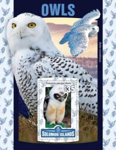 SOLOMON ISLANDS 2016 SHEET OWLS BIRDS slm16116b