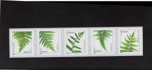 4973-4977 Ferns, MNH PNC/5 (#S1111)
