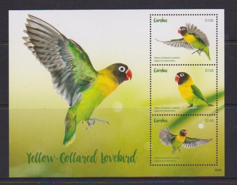 2020 Gambia Lovebird MS3 (Scott 3887) MNH