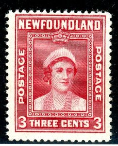 Newfoundland, Scott #255, Mint, Never Hinged