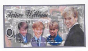 Gambia 2003 Prince William 21st Birthday Sheet MNH C3