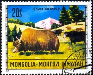 Yaks, Mongolian Livestock Breeding, Mongolia SC#643 used