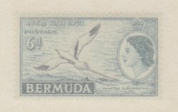 Bermuda Scott #163 Stamp  - Mint Single