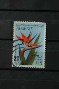 Algeria 1973. 'Algerian Flowers'. SG624. UNH