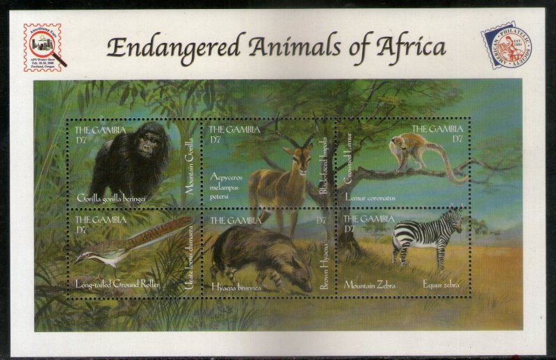 Gambia 2000 Gorilla Zebra Bird Wildlife Animals Sc 2194 Sheetlet MNH # 9703