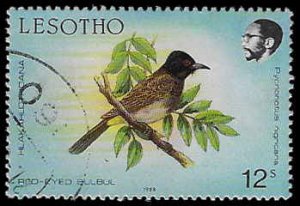 Lesotho #622 Used; 12s Red-eyed Bulbul bird (1988)