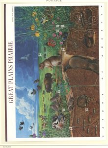 U.S. #SET/MIXED CONDITION 