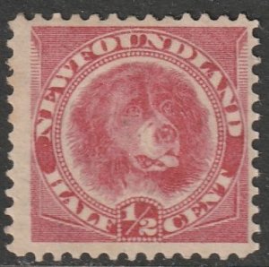 Newfoundland #57,  Mint OG Hinged  (~1570)