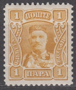 Montenegro Scott #75 1907 MH