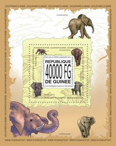 Guinea 2013 MNH - ELEPHANTS. Y&T Code: 1579  |  Michel Code: 10100 / Bl.2301