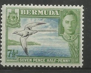 BERMUDA  121D  HINGED,  YELLOW BILLED TROPIC BIRD