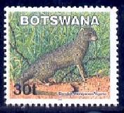 Slender Mongoose, Botswana SC#744 used