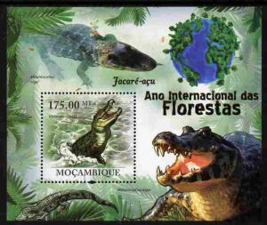 Mozambique 2011 International Year of Forests - Crocodile...