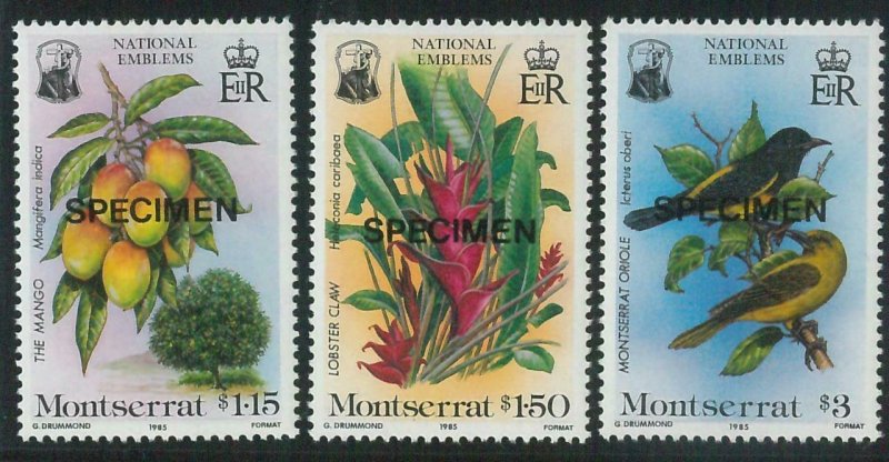 78436a - MONTSERRAT - STAMPS:  Flowers BIRDS 3 values MNH - Overprinted SPECIMEN