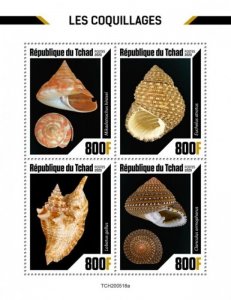 Chad - 2020 Seashells, Rooster-tail Conch, Sea Snail - 4 Stamp Sheet TCH200518a