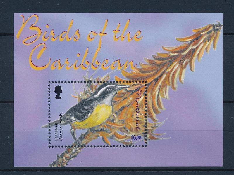 [40116] Montserrat 2003 Birds Vögel Oiseaux Ucelli   MNH Sheet