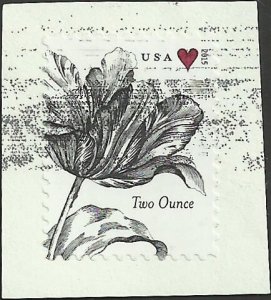 # 5002 Used Tulip & Heart
