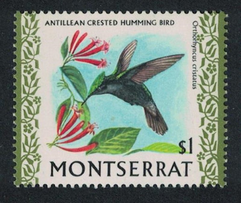 Montserrat Antillean Crested Hummingbird Bird $1 Glazed Ordinary paper 1971