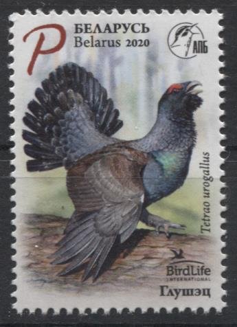 2020 Belarus 1334 Capercaillie. Bird of the year 2,80 €