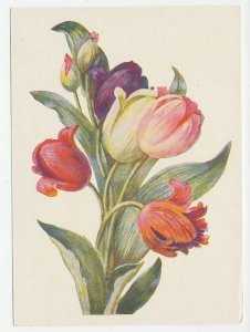 Postal stationery Soviet Union 1958 Flower - Tulip