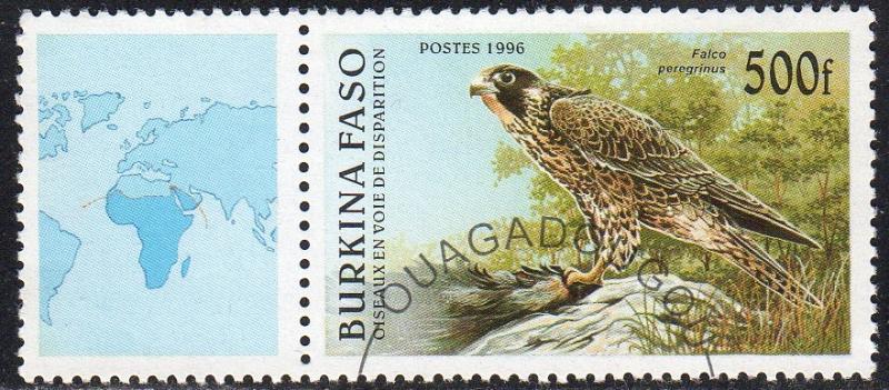 Burkina Faso 1087 - Cto - 500fr Peregrines Falcon (1996) (cv $1.20)