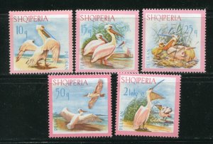 Albania 1012-1016 White Pelican Stamp Set MNH 1967