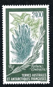 FSAT Antarctic 24Fr Festuca Contracta issue (Scott #255) VF MNH Cat $11