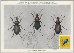 52711 - SWITZERLAND - MAXIMUM CARD - 1956 PRO JUVENTUTE insects BETTLES-