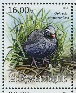 Birds Stamp Microgoura Meeki Columba Jouyi Ectopistes Migratorius S/S MNH #5726