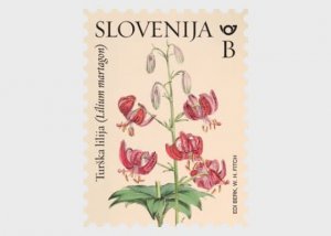 Slovenia / Slovenië - Postfris/MNH - Complete set Flowers 2024