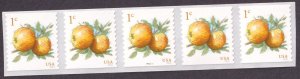 Scott #5037 Apples Plate # Coil (PNC) of 5 Stamps - MNH