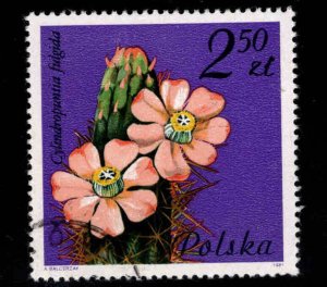 Poland Scott 2496 Used CTO Flower stamp