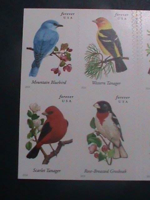 ​UNITED STATES-2014-SC#4891b COLORFUL BEAUTIFUL LOVELY SONG BIRDS MNH BOOKLET