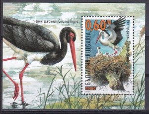 Bulgaria, Fauna, Birds MNH / 2000